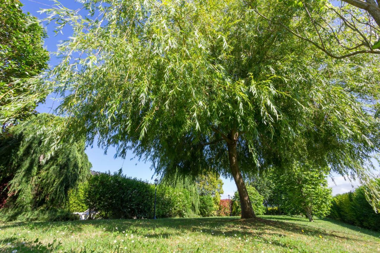 Apartamentos El Guindal Тапія-де-Касар'єго Екстер'єр фото